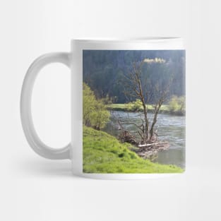 Dead Tree at the Young Danube River Mug